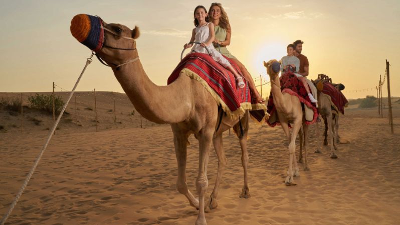 Image of Dîner-Spectacle & Safari dans le désert de Dubaï | Noble Life