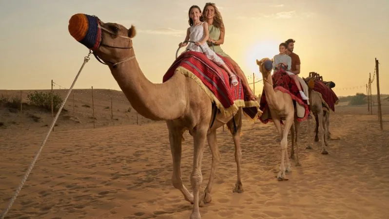 Dinner Show & Desert Safari in Dubai | Noble Life